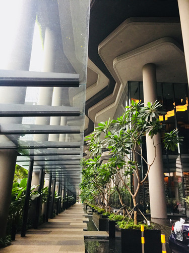 2017新加坡景觀考察——與知名設計機構交流