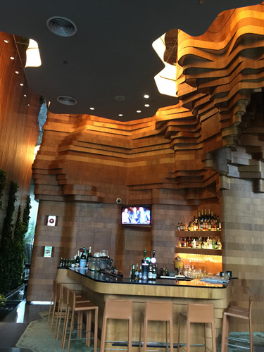 2017新加坡景觀考察——與知名設計機構交流