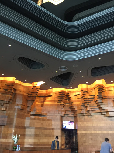 2017新加坡景觀考察——與知名設計機構交流