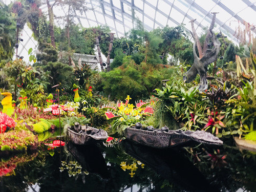 2017新加坡景觀考察——與知名設計機構交流