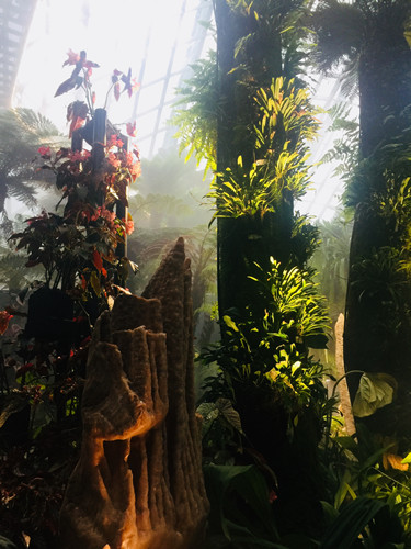 2017新加坡景觀考察——與知名設計機構交流