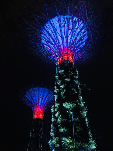 2017新加坡景觀考察——與知名設計機構交流