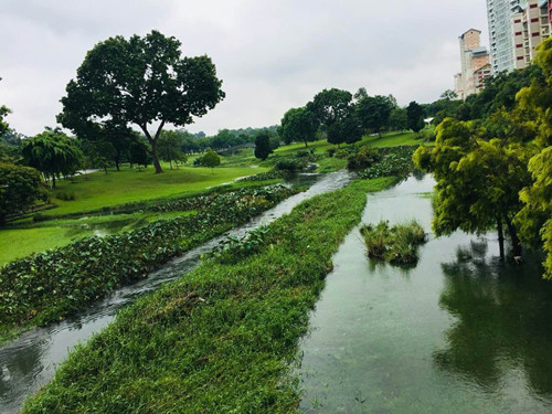 2017新加坡景觀考察——富想象力的城市景觀