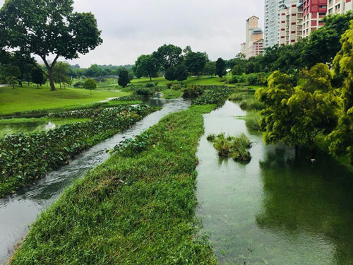 2017新加坡景觀考察——富想象力的城市景觀