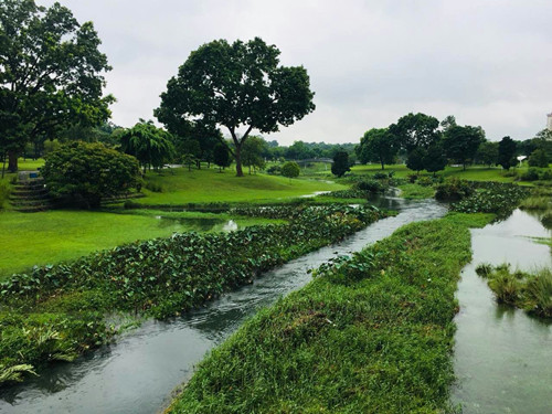2017新加坡景觀考察——富想象力的城市景觀