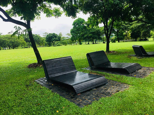 2017新加坡景觀考察——富想象力的城市景觀