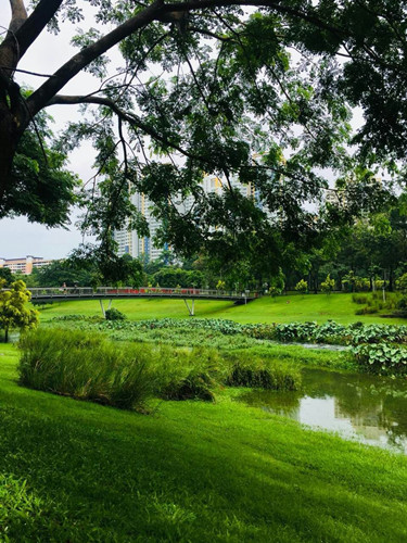 2017新加坡景觀考察——富想象力的城市景觀