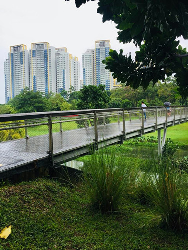 2017新加坡景觀考察——富想象力的城市景觀