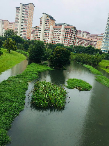 2017新加坡景觀考察——富想象力的城市景觀