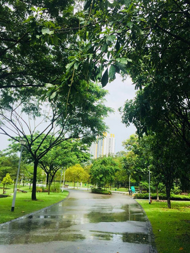 2017新加坡景觀考察——富想象力的城市景觀