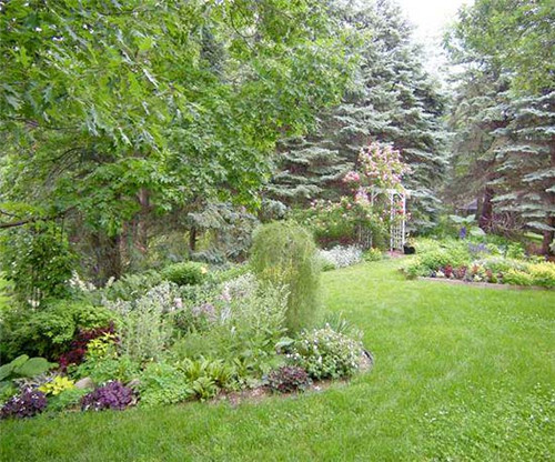 美國明尼蘇達耐陰花園設計