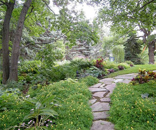 美國明尼蘇達耐陰花園設計