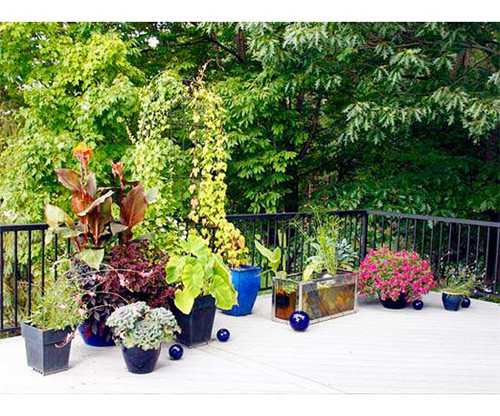 美國明尼蘇達耐陰花園設計