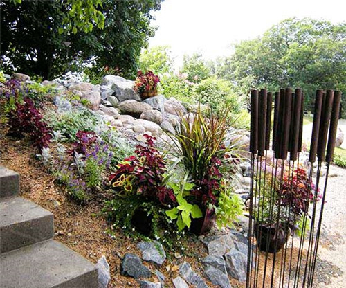 美國明尼蘇達耐陰花園設計