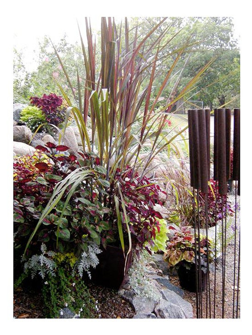 美國明尼蘇達耐陰花園設計