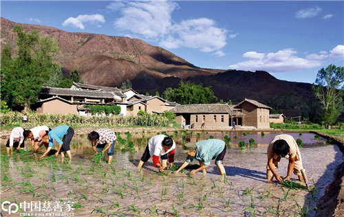 萬麗：一個“草帽建筑師”的選擇