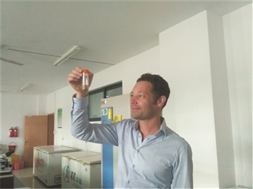 外籍專家馬克在臺州研究植物