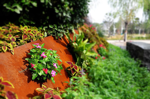 2017園冶杯專業(yè)獎現(xiàn)場評審啟動 第一站鄭州