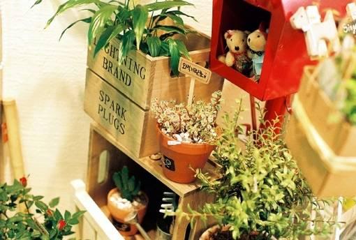 花藝師原來(lái)是這樣澆水的,怪不得養(yǎng)那么好!