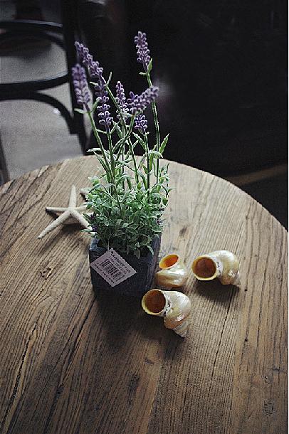 花藝師原來(lái)是這樣澆水的,怪不得養(yǎng)那么好!