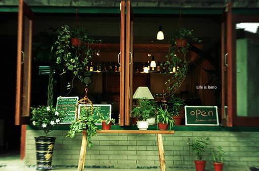 花藝師原來(lái)是這樣澆水的,怪不得養(yǎng)那么好!