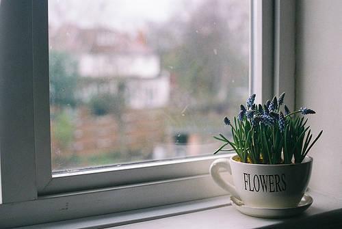 花藝師原來(lái)是這樣澆水的,怪不得養(yǎng)那么好!