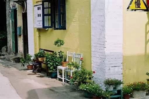 花藝師原來(lái)是這樣澆水的,怪不得養(yǎng)那么好!