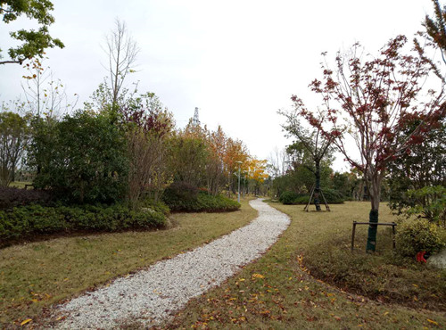 2017園冶杯專業獎現場評審報道(安徽站)