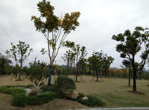 2017園冶杯專業獎現場評審報道(安徽站)