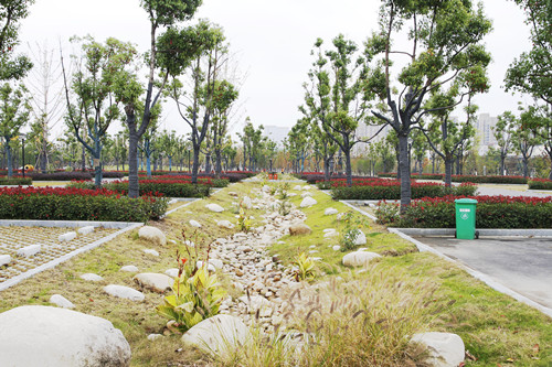 2017園冶杯專業獎現場評審報道(安徽站)