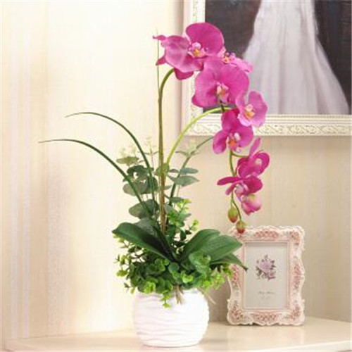 家居花藝風(fēng)水你留意了嗎