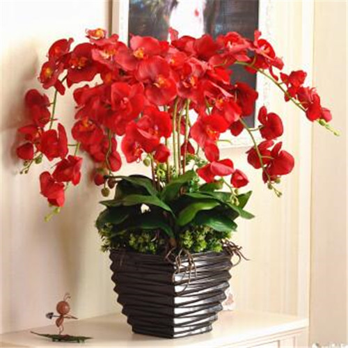 家居花藝風(fēng)水你留意了嗎