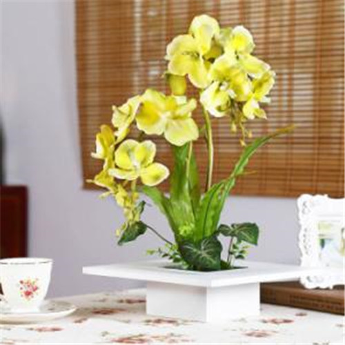 家居花藝風(fēng)水你留意了嗎