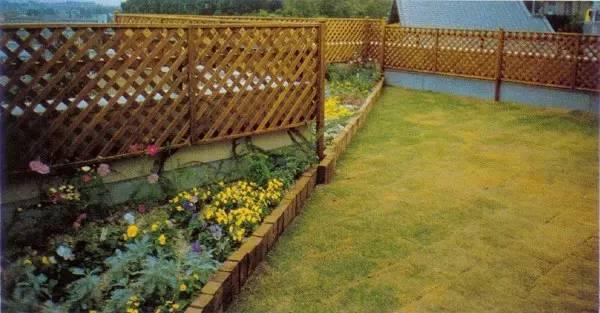 別小看農村，庭院打扮起來比別墅還美