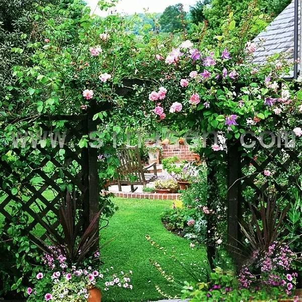 別小看農村，庭院打扮起來比別墅還美