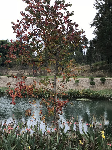 2017園冶杯專業(yè)獎(jiǎng)現(xiàn)場(chǎng)評(píng)審報(bào)道(貴州站)