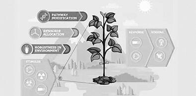 美“先進(jìn)植物計(jì)劃”擬培養(yǎng)“無聲哨兵”