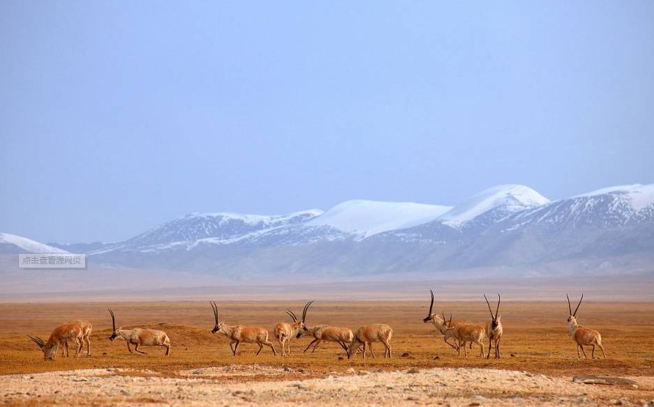 三大自然保護區聯合公告：禁止非法穿越