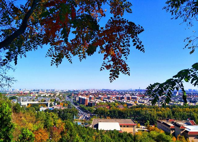 國(guó)家森林城市建設(shè)樹(shù)種選擇將影響生態(tài)效果