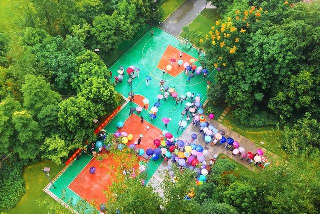 國(guó)家森林城市建設(shè)樹(shù)種選擇將影響生態(tài)效果