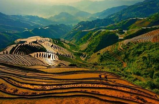 龍脊梯田入選全球重要農業文化遺產