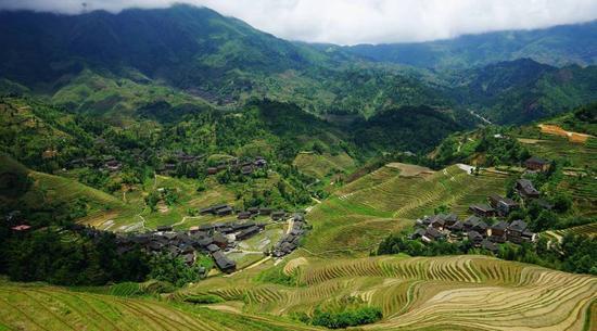 龍脊梯田入選全球重要農業文化遺產