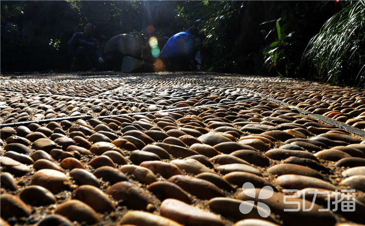 一條園林路，傳承35載父子情