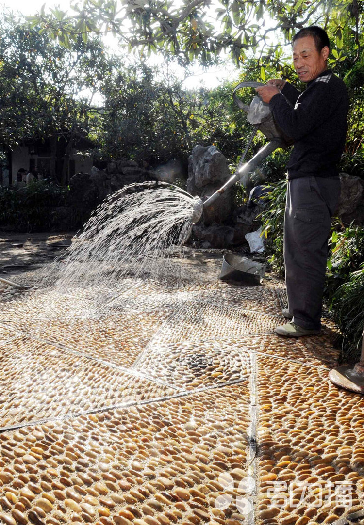 一條園林路，傳承35載父子情