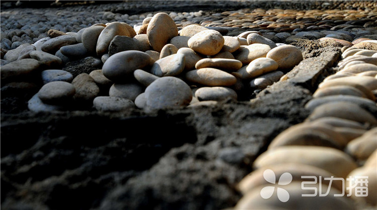 一條園林路，傳承35載父子情