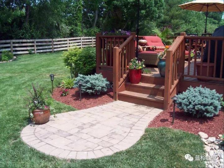 誰也搶不了科羅拉多藍杉的飯碗