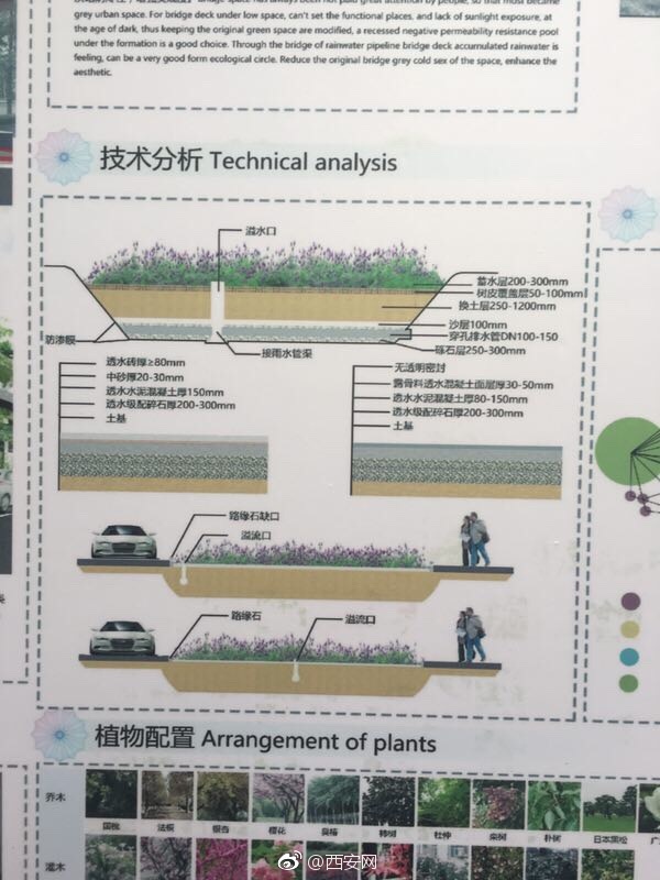 高校雙創人才匯聚為海綿城市設計點贊