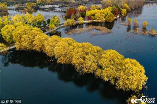 航拍白龜湖國家濕地公園美如畫