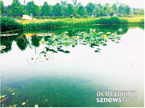 中國生態文明論壇惠州年會召開 鐵漢生態承辦