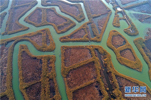 航拍冬日洪澤湖濕地